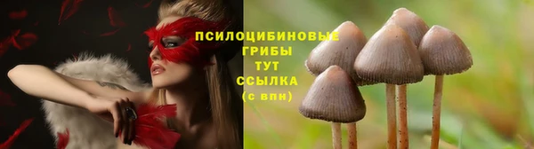 экстази Новодвинск