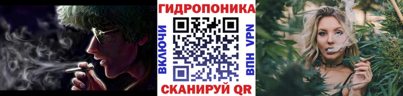 наркотики  Шлиссельбург  Конопля сатива 